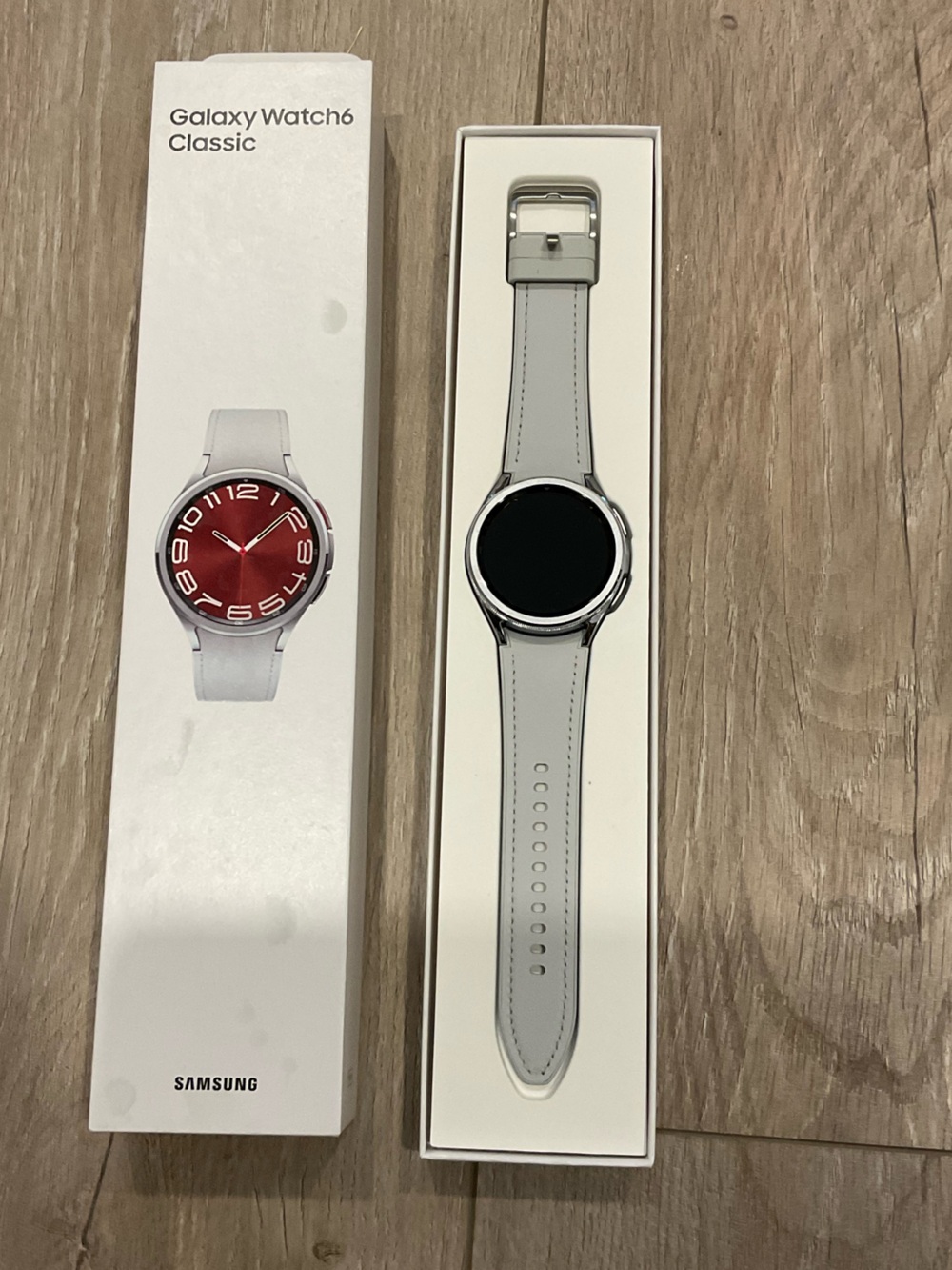 Samsung Galaxy Watch6 Classic โ Silver Case with Light Gray Strap